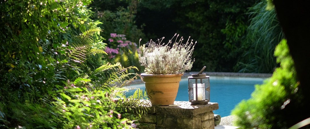 opengreen landscape services